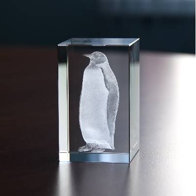 3D tučňák ve skle 50 x 50 x 80 mm