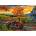 Castorland - Puzzle Autumn Ride - 180 piese