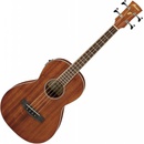 Ibanez PNB14E