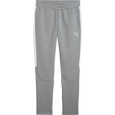 Puma Team Evostripe sivé