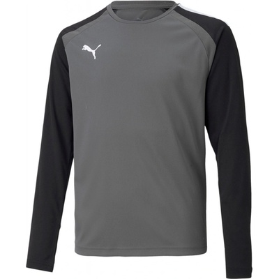 Puma Team Pacer GK LS Jersey 70493343