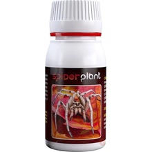 Spider Plant 60ml