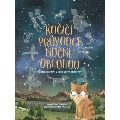 Kočičí průvodce noční oblohou