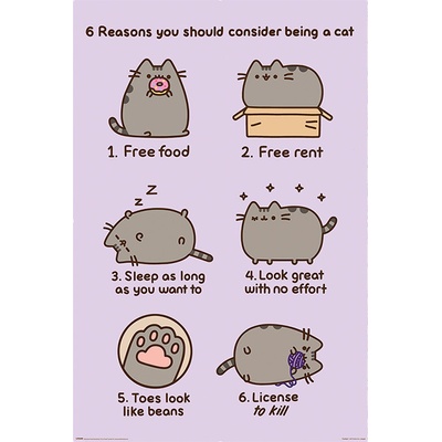 Plakát, Obraz - Pusheen - Reasons to be a Cat, 61 × 91.5 cm