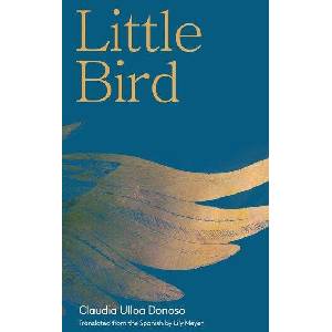 Little Bird | Claudia Ulloa Donoso, Lily Meyer (ISBN: 9781646050659)
