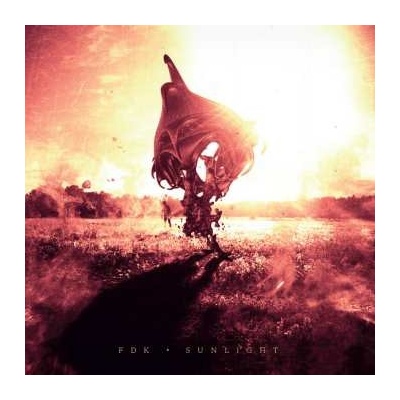FDK - Sunlight LP