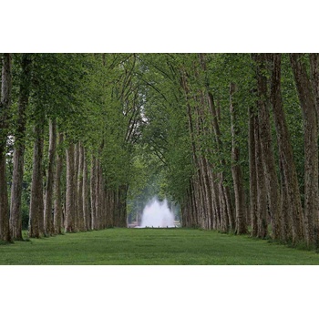 DIMEX ART s. r. o Флизелинов фототапет версайски парк 375 x 250 см