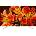 Sony Bravia KD-43XF8505