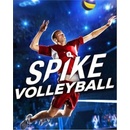 Spike Volleyball