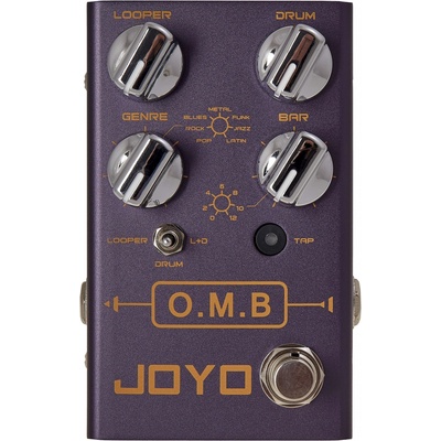 Joyo R-06