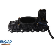 BUGIAD BIM17033