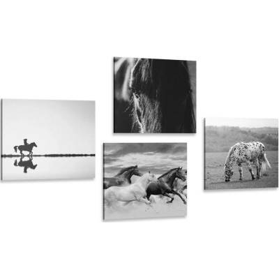 Set obrazů pro milovníky koní v černobílém provedení - 4x 40x40