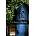 Secret Garden + mp3 Pack -