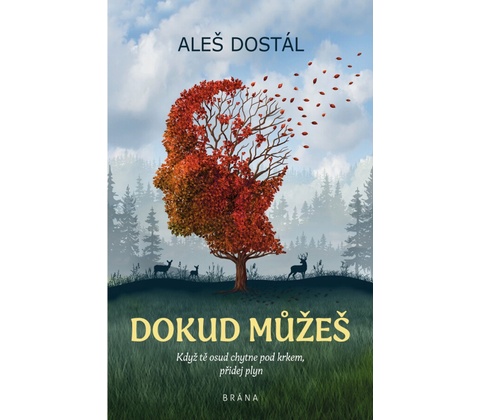 Dokud můžeš