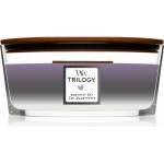 WoodWick Trilogy Amethyst Sky 453,6 g