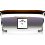 WoodWick Trilogy Amethyst Sky 453,6 g