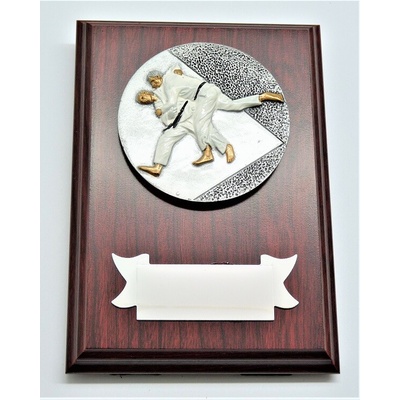 VIZINGR Judo plaketa H122-G15-FG004 15 cm