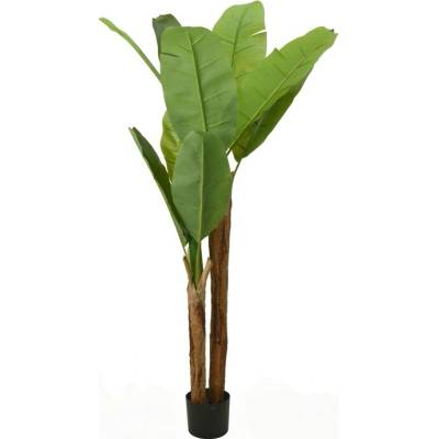Sconto Umelá rastlina BANÁNOVNÍK zelená, 160 cm