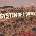 System of a Down - Toxicity (CD) (<![CDATA[5099750153420]]>)