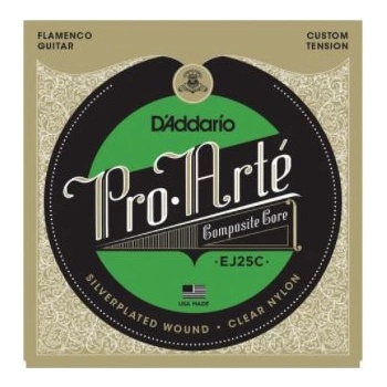 D'Addario EJ25C