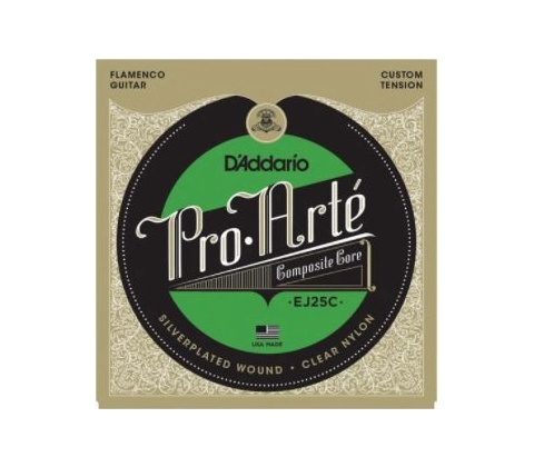 D'Addario EJ25C
