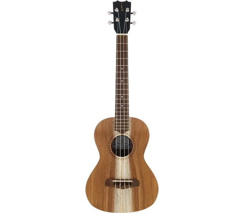 APC TS Tenor Simples APC