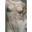 Looking at Greek and Roman Sculpture in Stone - A Guide to Terms, Styles, and Techniques | Janet Burnett Grossman