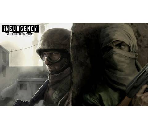 Insurgency