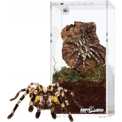 Repti Zoo terárium akrylové 7,5 x 7,5 x 15 cm