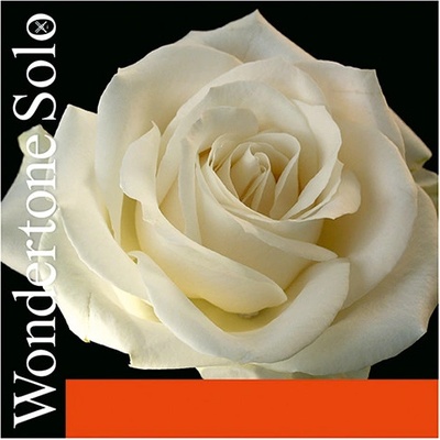 Pirastro WONDERTONE 410221