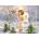 Norimpex - Puzzle Diamant painting: Little angel in the forest 30x40cm - 1 - 39 piese