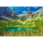 Castorland - Puzzle Zelené Pleso, Tatras, Slovakia - 1 000 piese