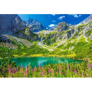 Castorland - Puzzle Zelené Pleso, Tatras, Slovakia - 1 000 piese