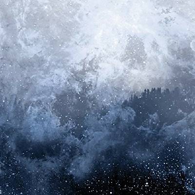 WOLVES IN THE THRONE ROOM - CELESTITE CD