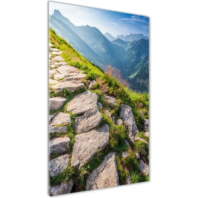 Vertikálny fotoobraz na skle Horský chodník 50x100 cm