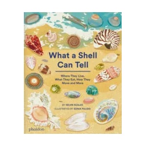 What A Shell Can Tell | Sonia Pulido (ISBN: 9781838664305)