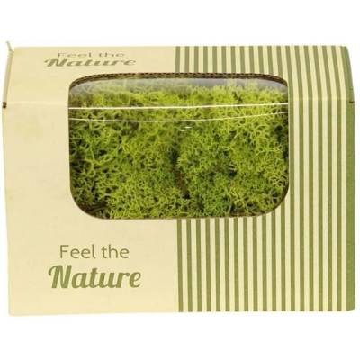 Moss reindeer ca. 50gr nature 14x8x10cm