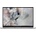 Dell Pro 16 PC16250 PC16250_U516G512GIR_UBU_BG