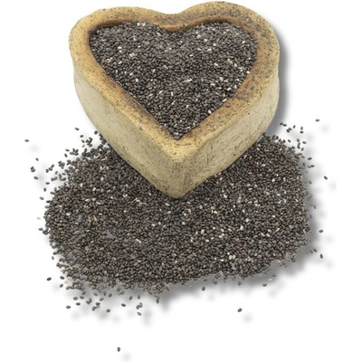 FITBOY Chia semienka BIO 500 g