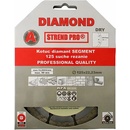Strend Pro 521A Kotouč diamantový segment 230 mm ST223926