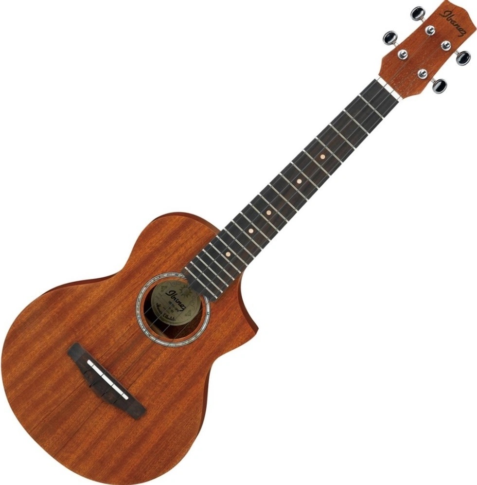 Ibanez UEWT 5