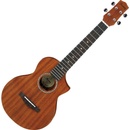 Ibanez UEWT 5