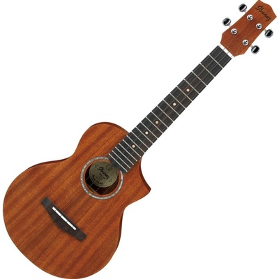 Ibanez UEWT 5