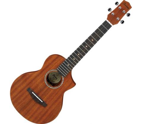 Ibanez UEWT 5