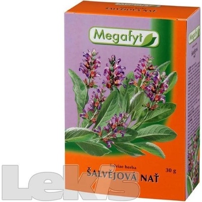 MEGAFYT ŠALVIOVÁ VŇAŤ 30 g