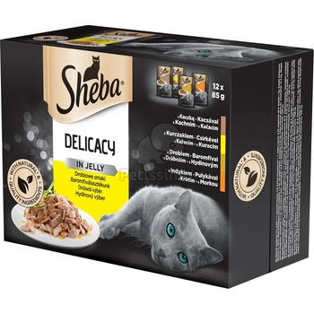 Sheba Delicacy in jelly poultry 12x85 g