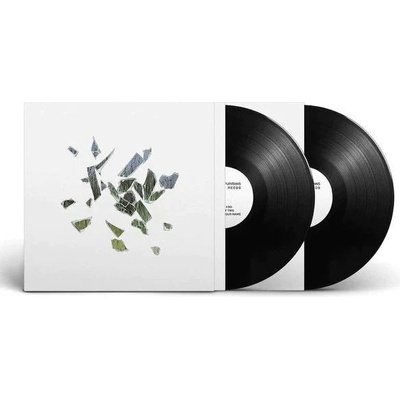 These New Puritans - Field Of Reeds - Etching LP