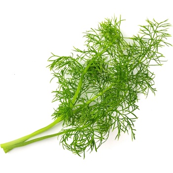 VÉritable (Франция) Пълнител (лингот) Fennel за настолна градина Véritable® - фенел (VLIN-O10-Fen043)