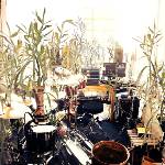 Giraffe - Climate (LP) (0880918230061)