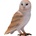 Mojo Фигура Mojo Animal Planet - Забулена сова (381054)